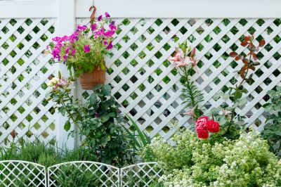 Finished Lattice Fence with Decorative Plants